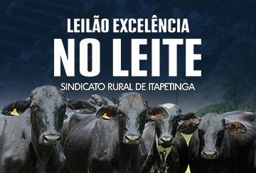 LEILÃO EXCELÊNCIA NO LEITE - SINDICATO RURAL DE ITAPETINGA